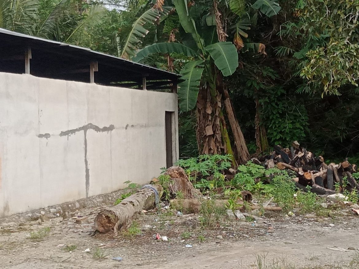 Ditemukan warga Desa Terak, Kecamatan Simpang Katis, Kabupaten Bangka Tengah, Kepulauan Bangka Belitung sedang aktifitas pemurnian pasir biji timah yang terdengar dari samping gudang pengolahan pasir biji timah yang tertutup rapi menyatu di dinding rumah bos kolektor bernama Heng, diduga tidak memiliki perizinan dari dinas kementrian terkait alias ilegal.  Kejadian tersebut ditemukan saat Tim media melakukan investigasi di Daerah Kabupaten Bangka Tengah pada hari Senin (24/06).  Dari hasil investigasi, salah satu rekan Tim di datangi pekerja yang sedang bekerja dari dalam gudang tanpa mengenakan baju dan di sekitar leher, punggung bertaburan pasir biji timah yang melekat. “jangan foto-foto ya sini hp kalian saya mau cek,” seiring pekerja cekcok dengan Tim anak bos Heng keluar membawa senjata tajam menghampiri memaksa minta hp dan merampas kunci mobil Tim, namun salah satu rekan Tim menggagalkan usaha pemaksaan pihak bos Heng Tim pun pergi.  menanggapi situasi penting banyaknya pemberitaan baru-baru ini tertangkap nya penyelundupan timah ilegal asal bangka tengah, Tim mendapatkan warga Bangka Tengah sedang aktifitas mengelolah pasir biji timah.   Adanya kekerasan dan pengancaman dari pihak Bos kolektor bernama Heng yang sudah menghalang-halangi tugas wartawan, Tim akan melakukan laporan ke pihak berwajib demi mendapatkan keadilan dan perlindungan hukum yang berlaku.