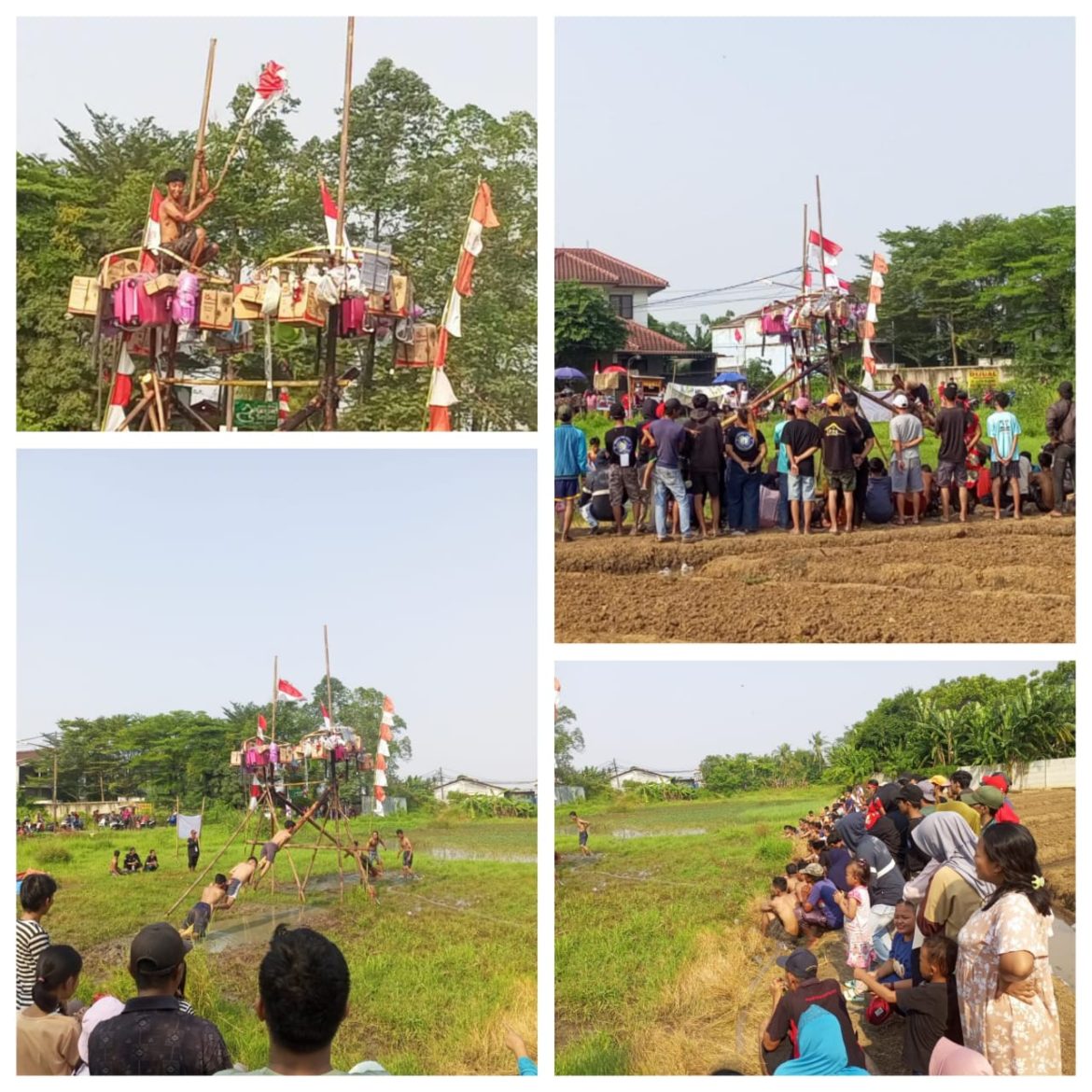 Panjat Pinang Di Tengah Bekas Sawah Meriahkan HUT Kemerdekaan Warga Dusun 04 Lebak Wangi