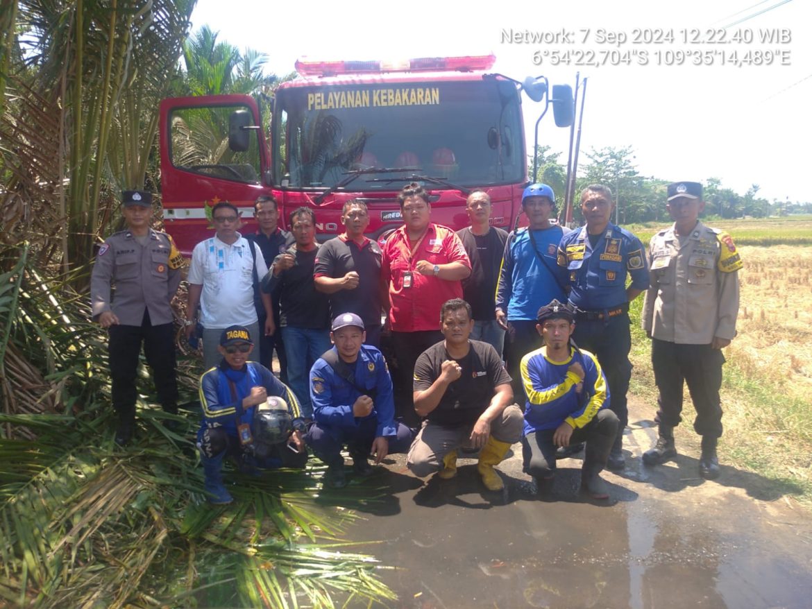 Area Tanaman Sagu Tidak Produktif di Pekalongan Terbakar, Diduga Akibat Puntung Rokok