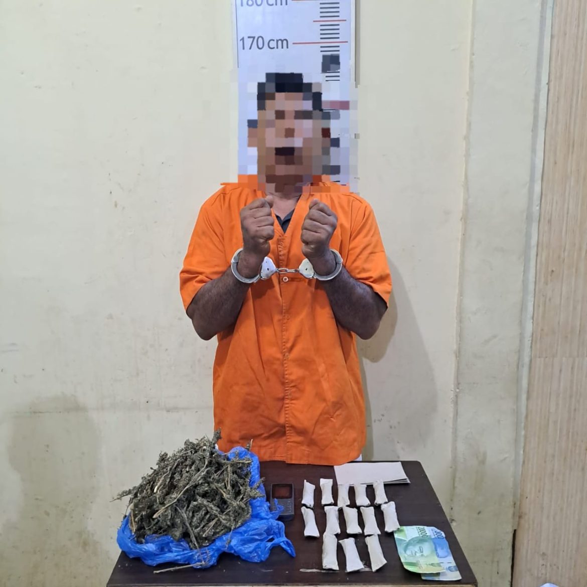 Sat Res Narkoba Polres Langkat Tangkap Seorang Pemilik Narkoba Jenis Daun Ganja Kering.