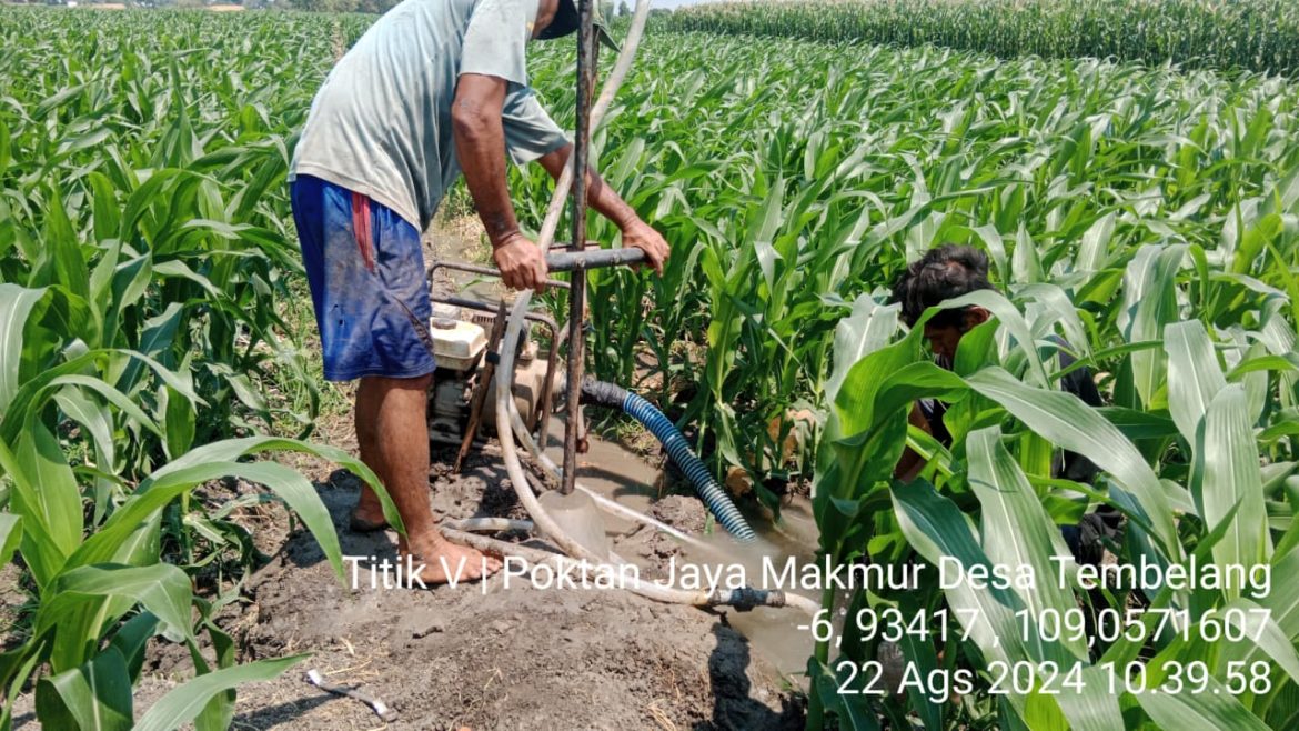 PROGRAM IRIGASI AIR TANAH DANGKAL SEBAGAI SUMBER AIR IRIGASI PETANI PADA MUSIM KEMARAU