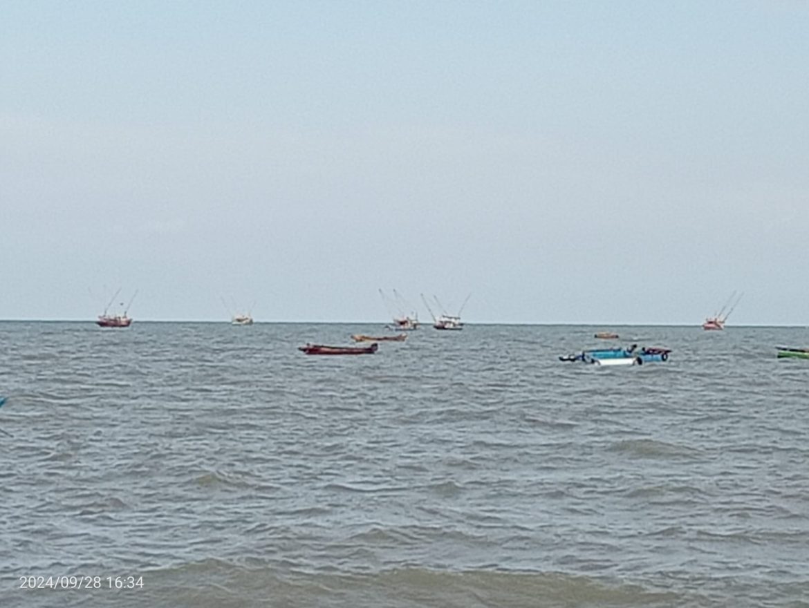 Kewalahan Mengolah: Nelayan Batu Belubang Hadapi Lonjakan Hasil Tangkapan