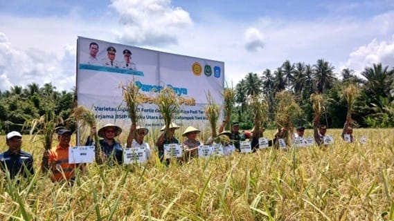 Untuk Masa Depan Pertanian, PT.NHM Kolaborasi Dengan Petani Kao Barat Menuju Kemandirian Pangan