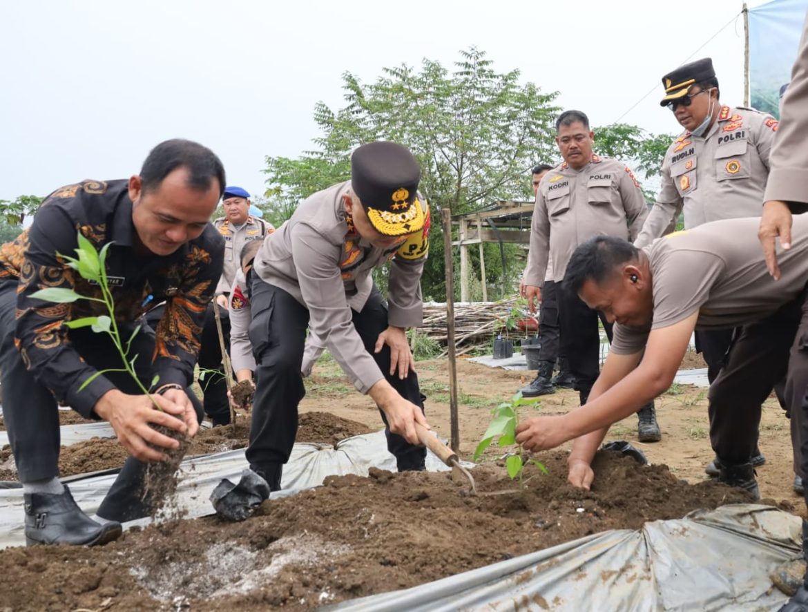 Kapolda Babel Tinjau Kebun Ketahanan Pangan, Dukung Program Percepatan Swasembada Pangan Pemerintah