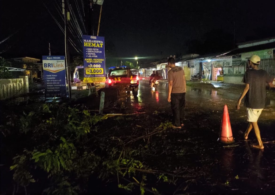 Polisi dan Petugas BPBD serta Warga Gotong Royong Evakuasi Pohon Tumbang