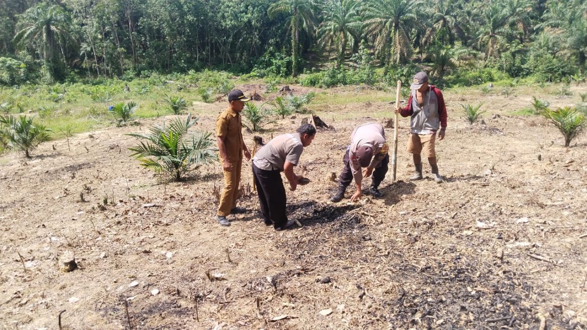 Bhabinkamtibmas Ketahanan Pangan Desa Alur Gadung Bersama Petugas Pertanian Laksanakan Penanaman Perdana Kacang Tanah.