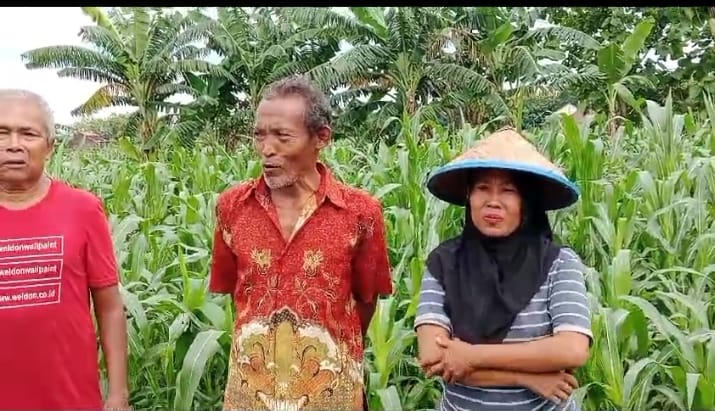 Petani Beli Pupuk Subsidi di Tolak Pengepul Pupuk subsidi
