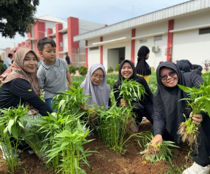 Lembaga Pemasyarakatan Kelas 1 Tangerang Gelar Panen Raya untuk Dukung Program Ketahanan Pangan