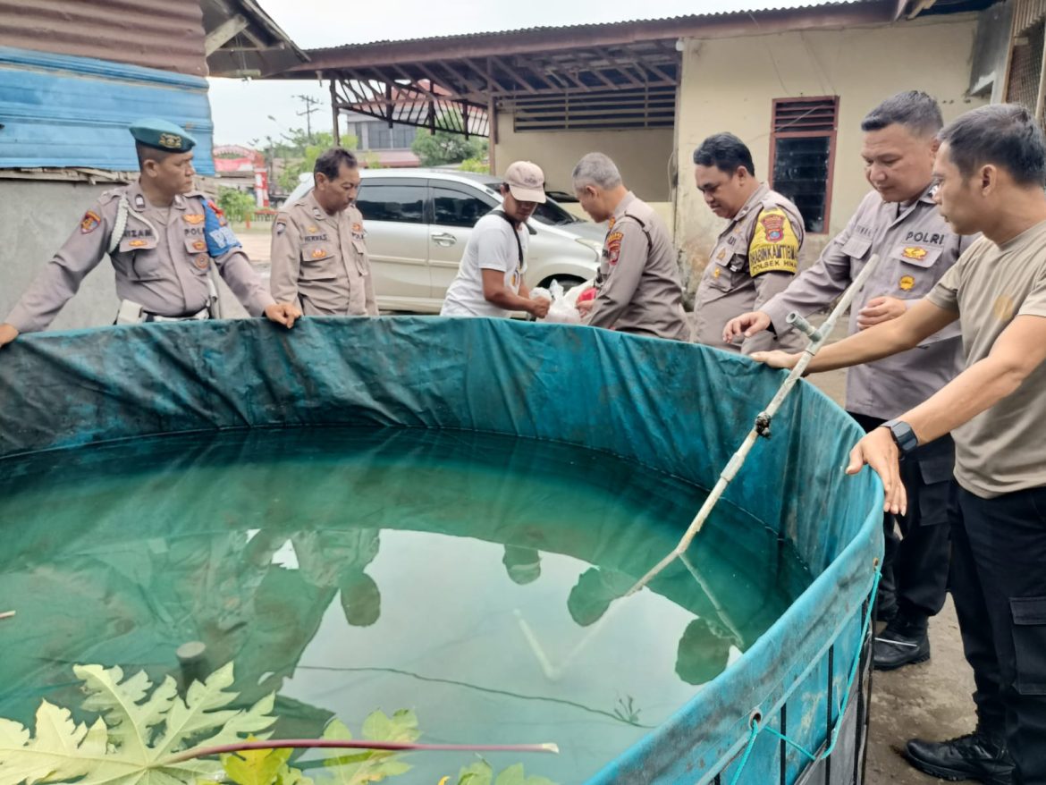 Kapolsek Hinai Dukung Ketahanan Pangan dengan Budidaya Ikan Lele.