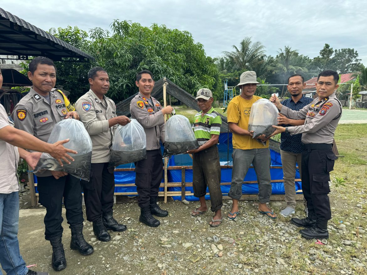 Polsek Padang Tualang Dukung Ketahanan Pangan, Berikan Kolam Ikan dan Bibit Ikan Lele ke Warga.