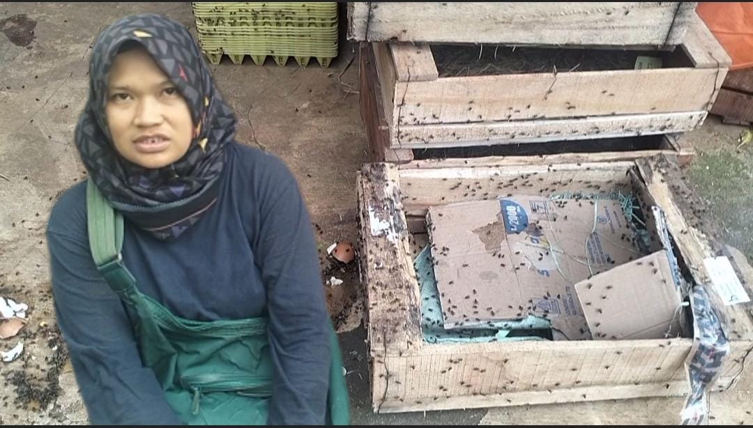 Warga Desa Doro Rejo Resah Akibat Pencemaran Lalat, Rencana Gelar Demo