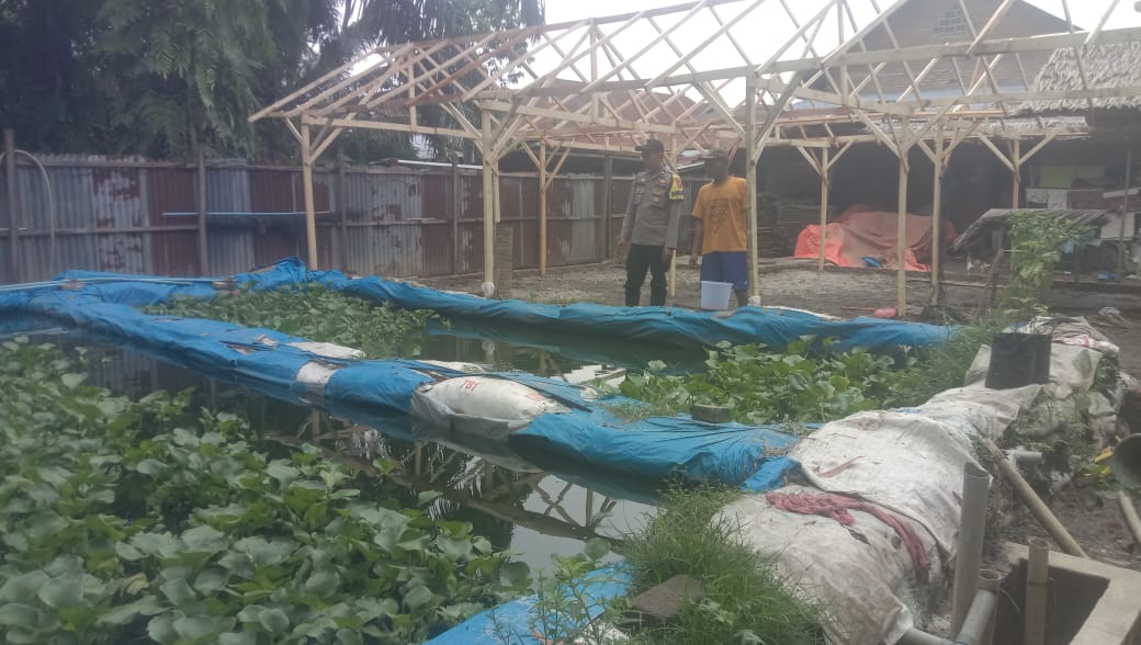 Bhabinkamtibmas Polsek Stabat Ajak Warga Desa Banyumas Manfaatkan Pekarangan untuk Ketahanan Pangan.