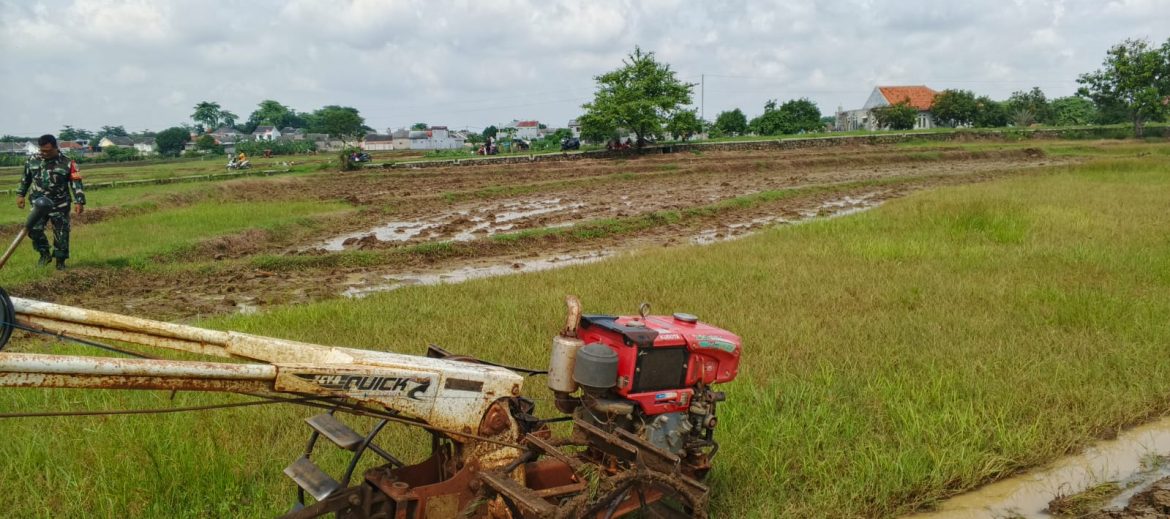 Pendampingan Poktan Kedung Mendeng Dalam Pengolahan Lahan Sawah untuk Persiapan Masa Tanam.