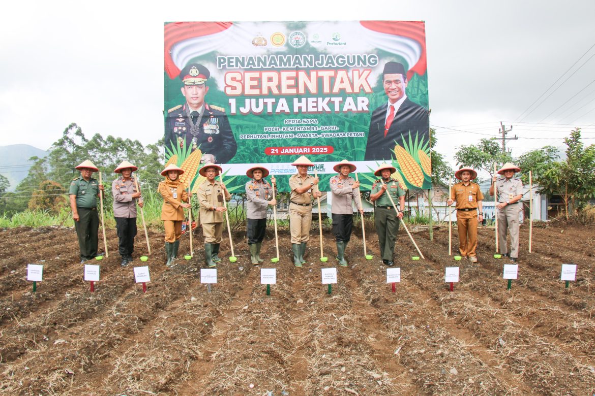 Dukung Ketahanan Pangan Nasional, Polresta Magelang Tanam Jagung Serentak