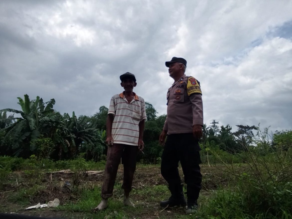 Bhabinkamtibmas Polsek Stabat Dukung Petani Lokal, Sambangi Lahan Pertanian di Desa Pantai Gemi.