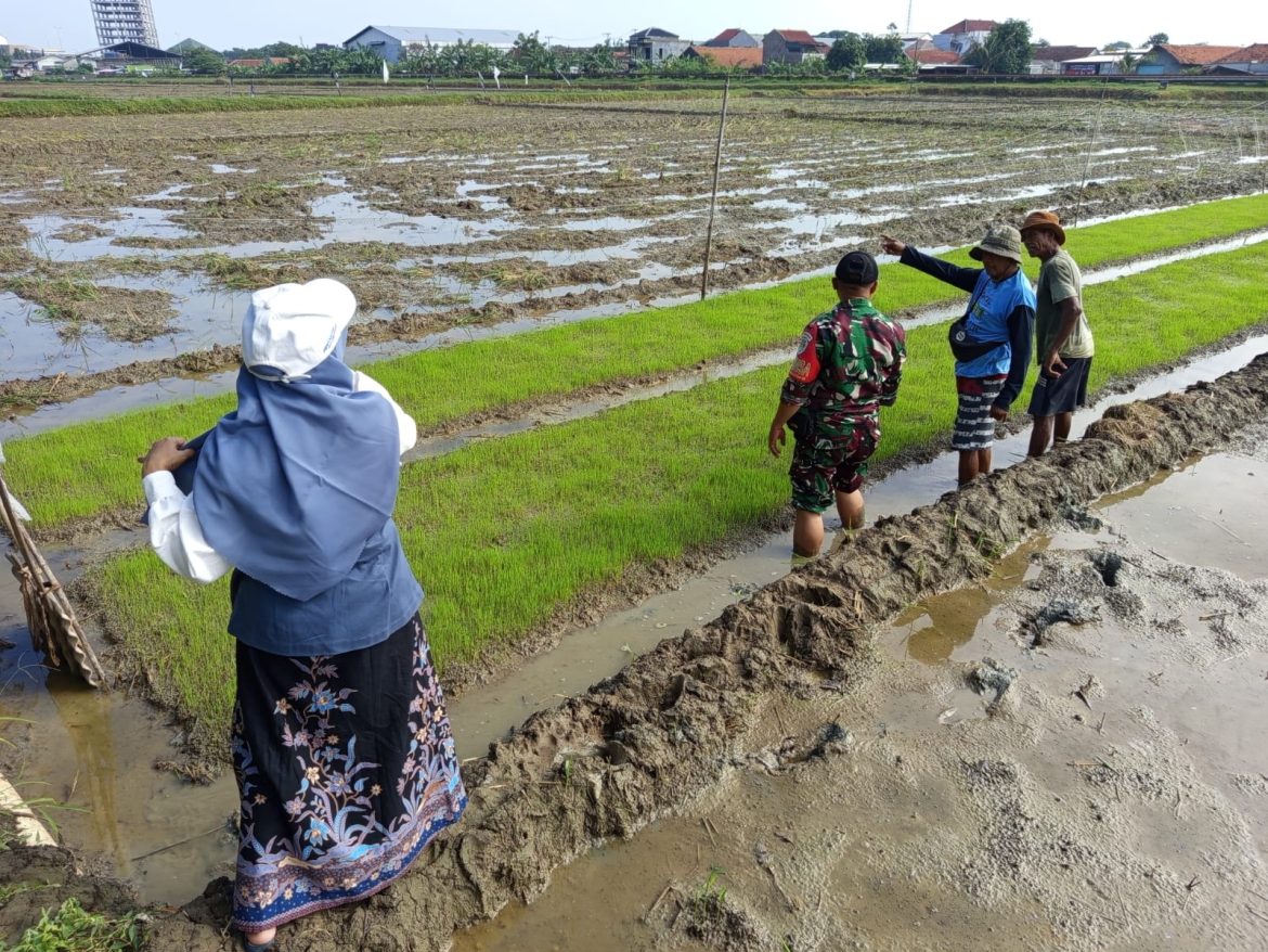 Babinsa Kel. Larangan Menyampaikan Pentingnya Peran Tani dalam Meningkatkan Ketahanan Pangan.