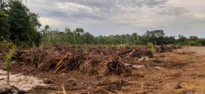 Sungai Nyirih Bangka Selatan Kian Gundul, Kinerja KPHP Dipertanyakan