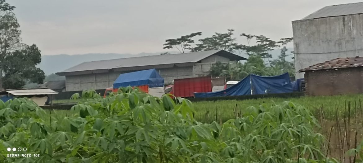 Viral..!! Kapolres Banyumas Kurang Tegas Untuk Menangani Kasus Para Oknum Mafia Solar di Wilayahnya