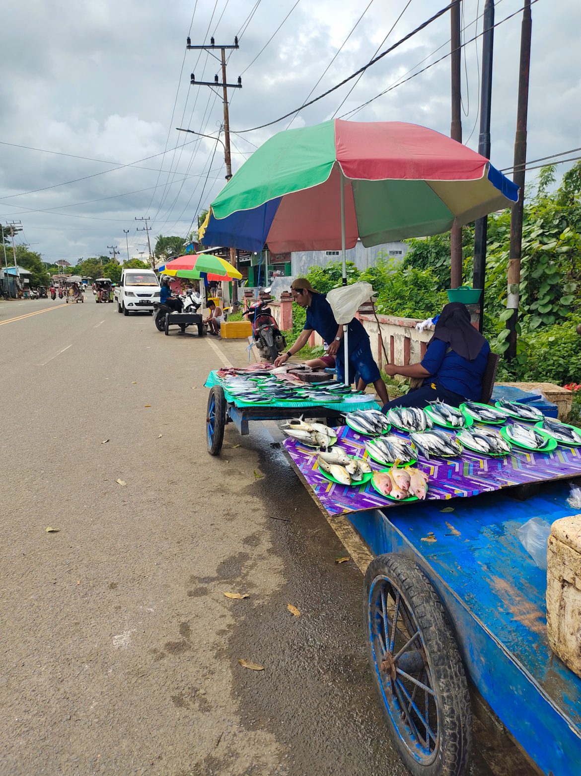 Penjual Lebih memilih Berjualan Ikan Di Samping Jalan Daripada Di Pasar Atau Central Business Distric