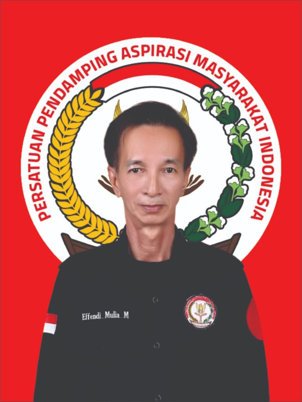 Ketua Umum PPAM Indonesia Kecam Keras Konten Willie Kehilangan Rendang di BKB, Sangat Melecehkan Masyarakat Palembang!