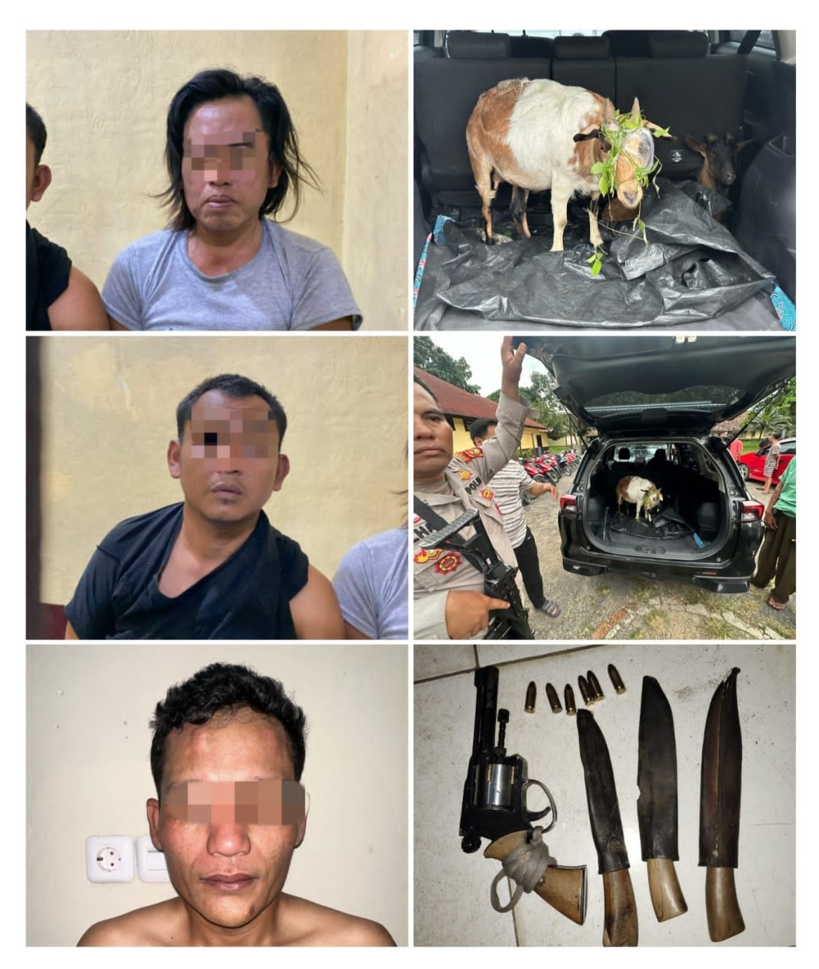 Bergerak Cepat dan Respon Pengaduan Masyarakat, Polsek Tanjung Raja Berhasil Tangkap Tiga Pelaku Pencuri Hewan serta Sita Senpira dengan 6 Butir Amunisi Aktif