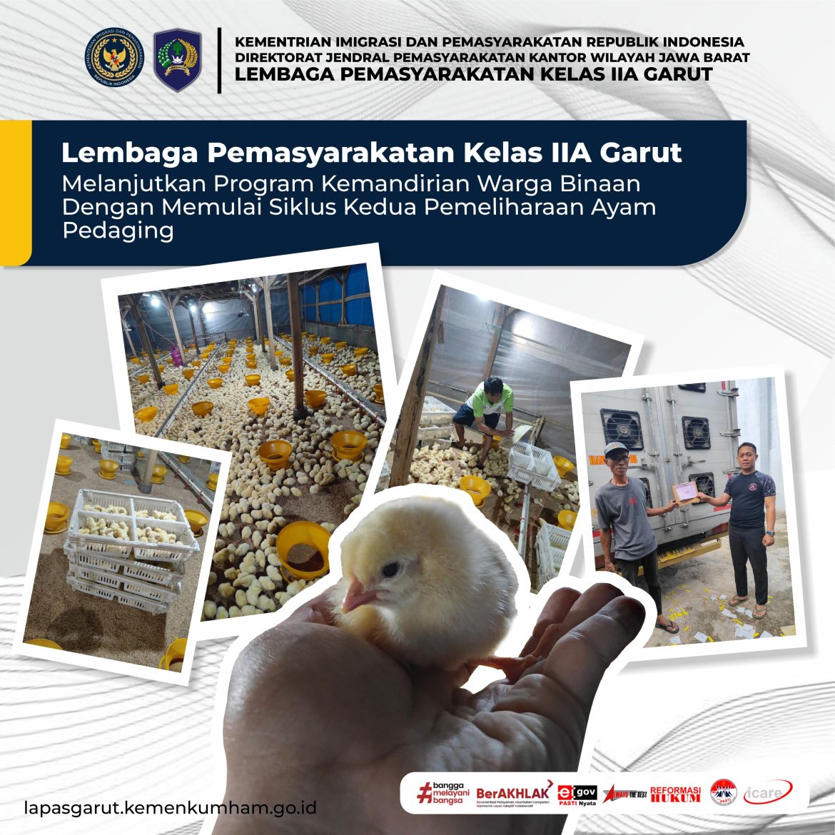 TEBAR RIBUAN BIBIT AYAM PEDAGING, BUKTI NYATA LAPAS GARUT BANGUN KEMANDIRIAN PANGAN”
