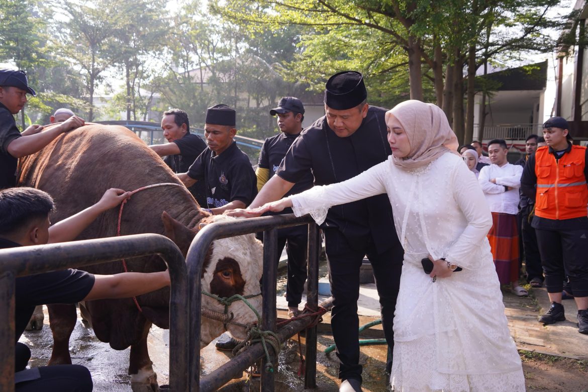Wakapolda Jabar Serahkan Sapi Limosin sebagai Wujud Kepedulian Polri di Momen Idul Adha   