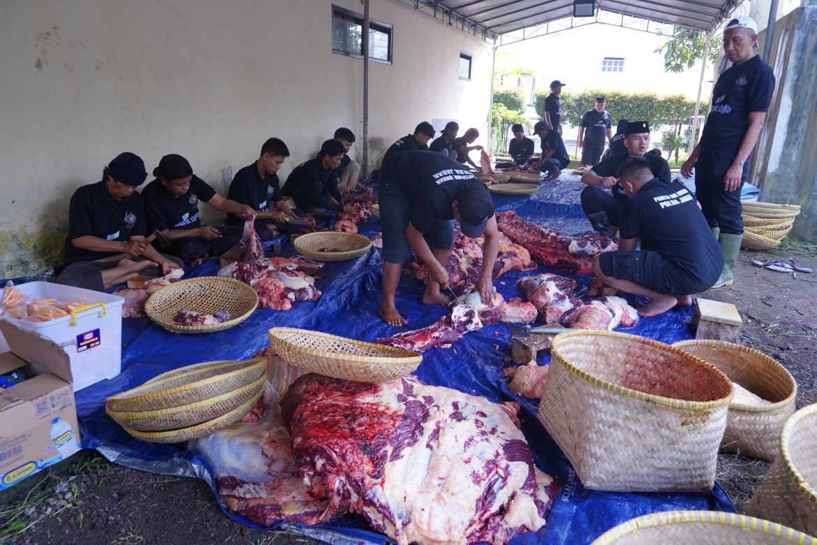 Polda Jabar Sumbangkan 77 Ekor Sapi dan 35 Ekor Kambing untuk Qurban   