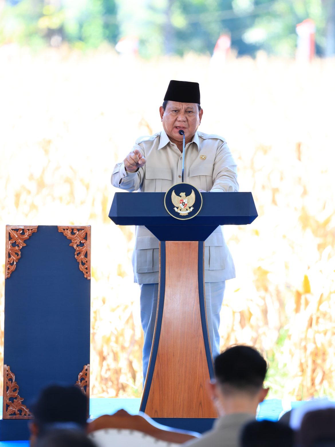 Presiden Apresiasi Peran Polri dan Koperasi dalam Panen Raya Jagung di Bengkayang   