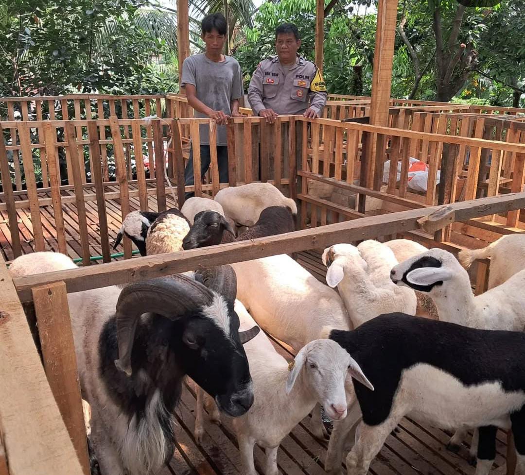 Bhabinkamtibmas Polsek Citeureup Monitoring Peternak Dalam Program Ketahanan Pangan di Desa Puspasari   