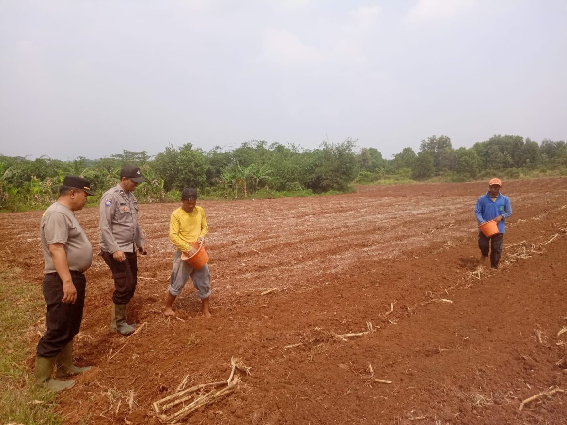 Polres Bogor dan Polsek Jasinga Laksanakan Program Ketahanan Pangan di Desa Neglasari   