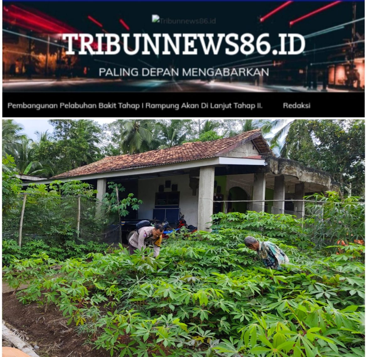 Dorong Masyarakat Manfaatkan Lahan Pekarangan Rumah