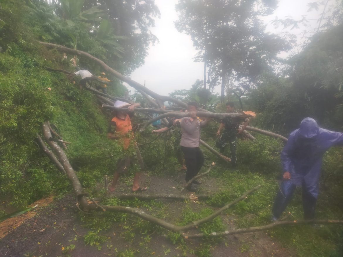 Sinergitas TNI-Polri dan Warga Evakuasi Pohon Tumbang di Karanganyar, Pekalongan