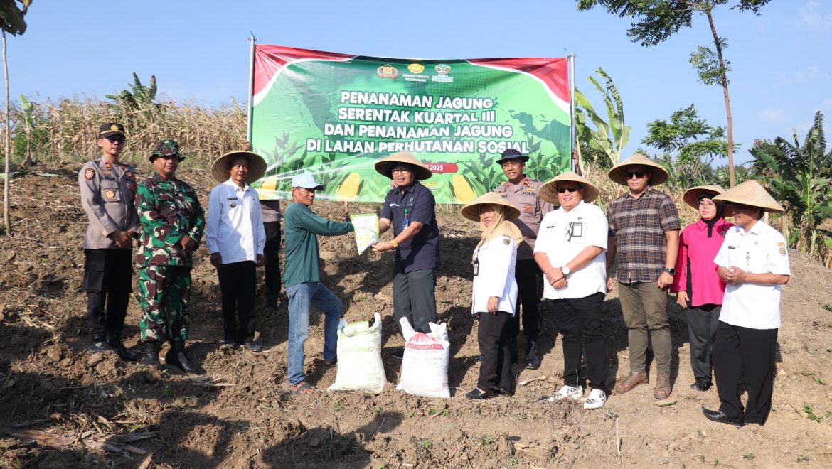 Dukung Program Swasembada Pangan 2025, Polres Pekalongan dan Jajarannya Tanam Jagung Serentak