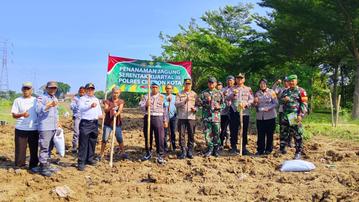 Koramil dan Polsek Bersinergi Tanam Jagung Serentak Kuartal 3 di Bantaran Sungai Cikalong