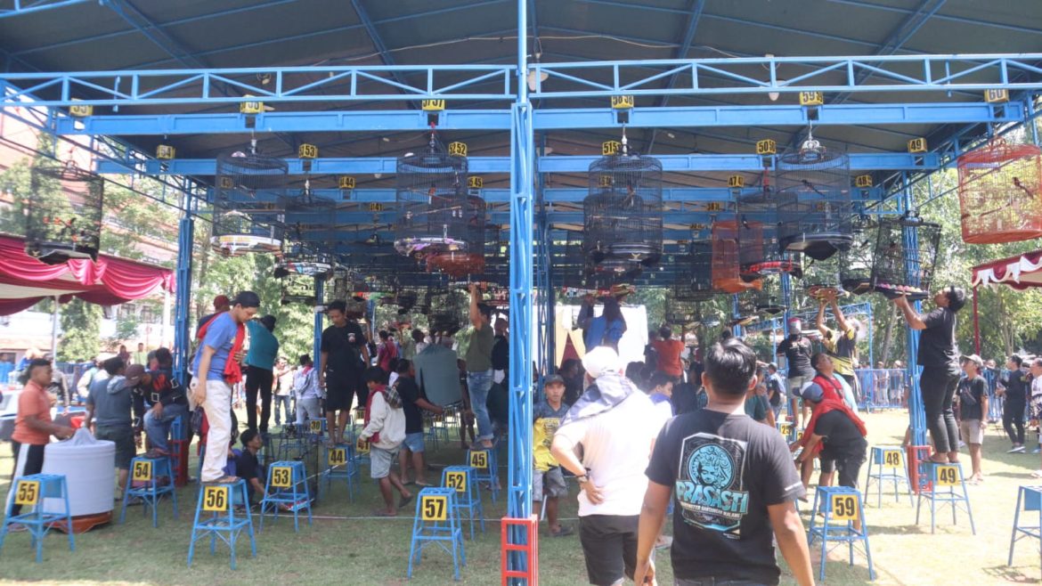 Semarak Hari Bhayangkara ke-79, Ratusan Kicau Mania Ramaikan Lomba Burung Berkicau Kapolres Cup Pekalongan 3