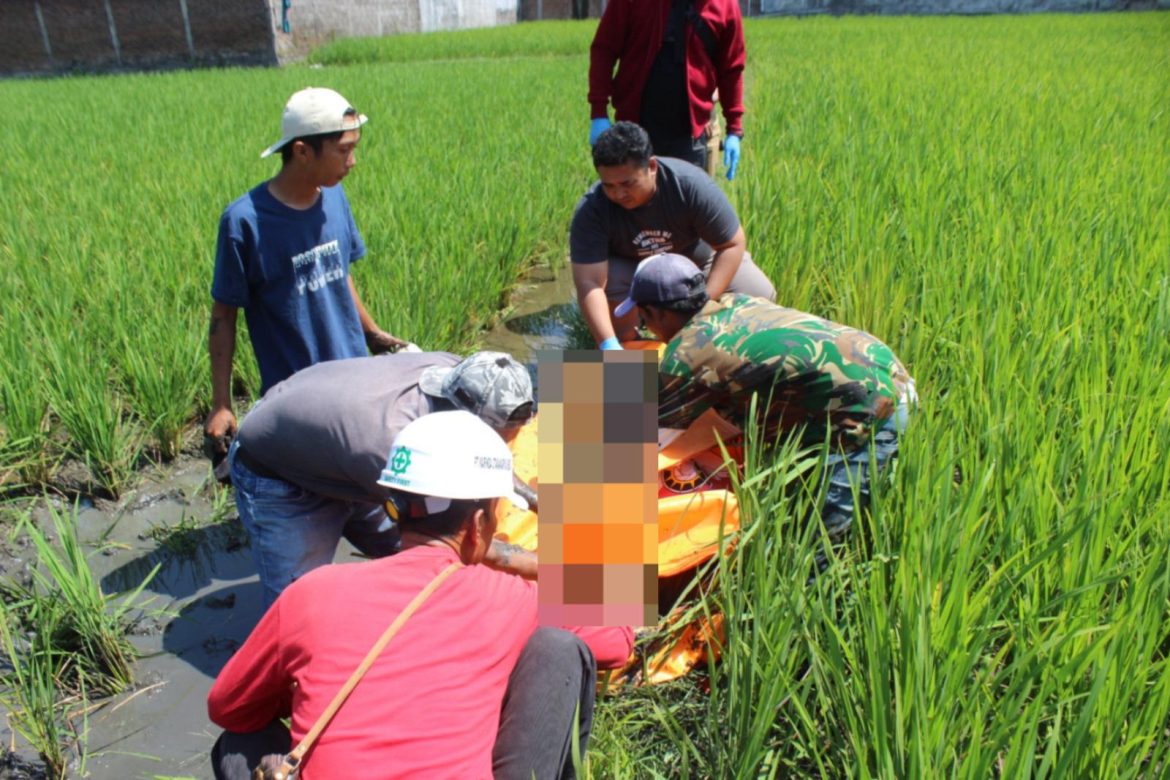 Polisi Lakukan Olah TKP Penemuan Mayat Pria di Pematang Sawah Sukasenang   