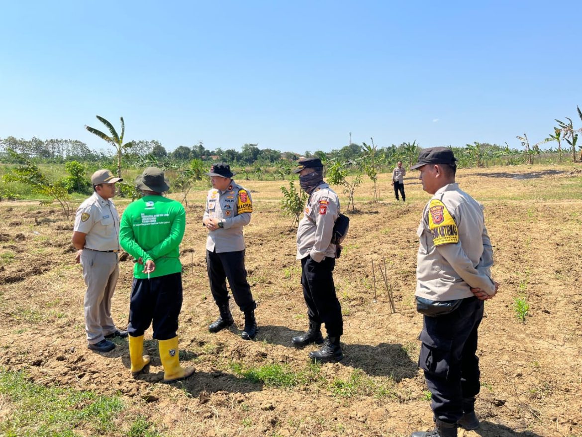 Polres Sumedang Kawal Ketahanan Pangan: Tinjau Langsung Progres Penanaman Jagung di Perhutanan Sosial   