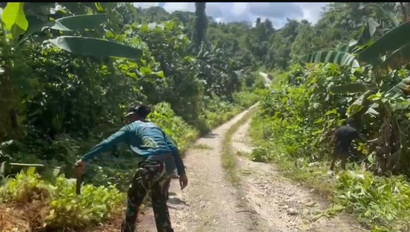 Satgas Pamtas RI-PNG Kewilayahan Yonif 763/SBA Pos Afkrem Bantu Warga Laksanakan Pembersihan Jalan di Sekitaran Kampung Afkrem.   