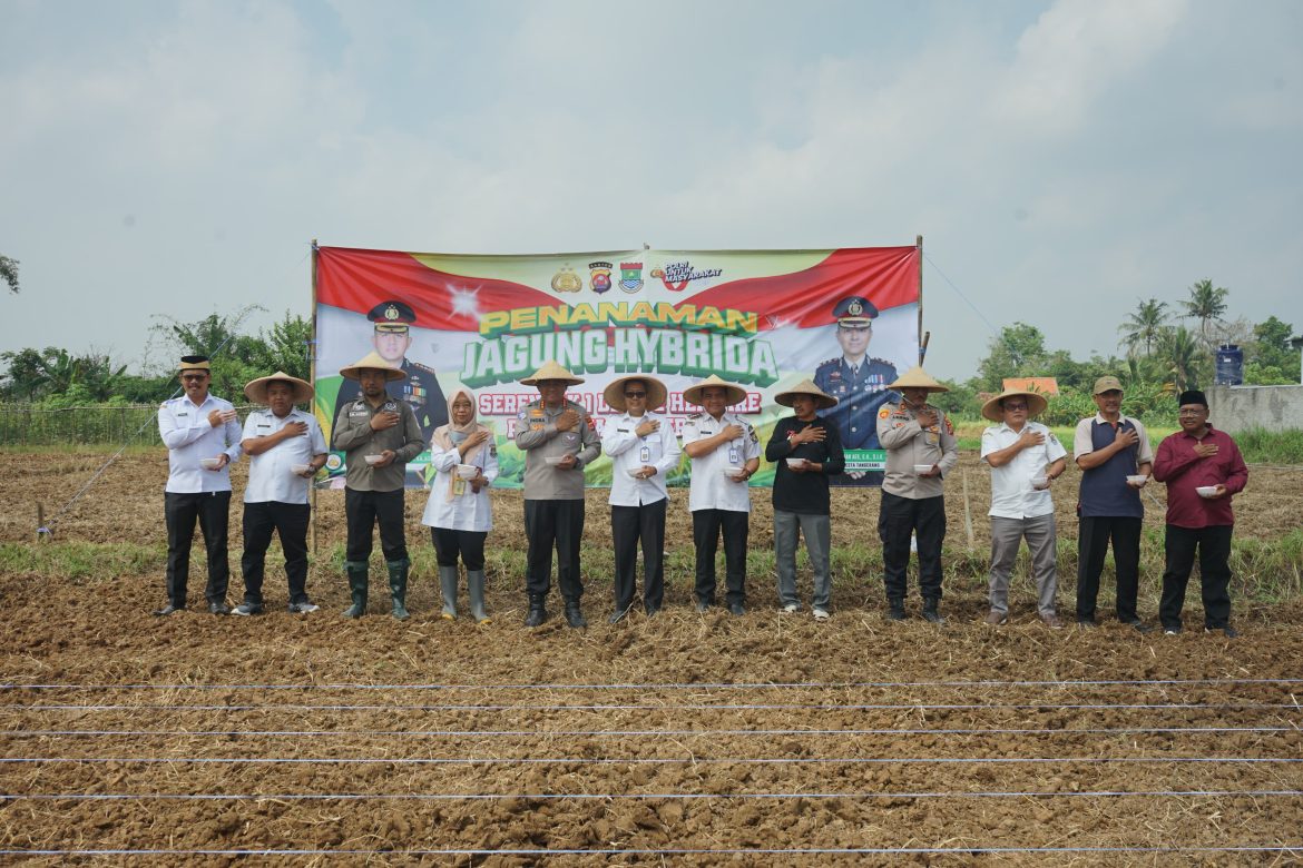 Tanam Jagung Serentak, Polresta Tangerang Komitmen Dukung Swasembada Pangan   