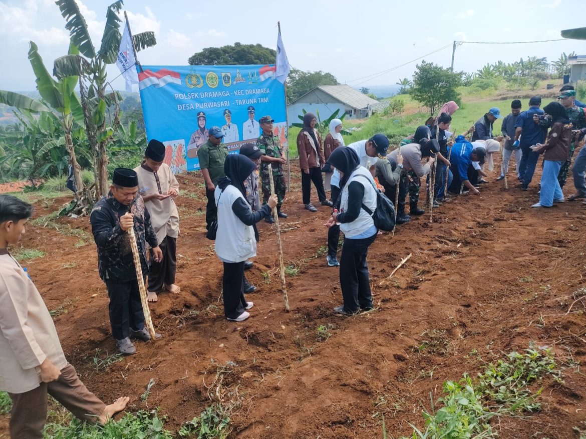 Kapolsek Dramaga Bersama Forkompimcam Giat Penanaman Jagung Hybrida Diponpes Zahid Bin Tshabit wilayah Desa Purwasari   