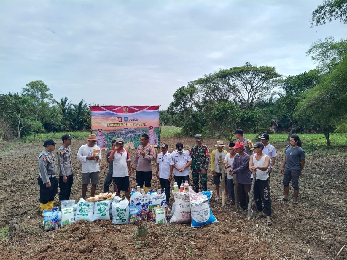Polsek Carenang Beri Bantuan dan Taman Jagung Kuartal III di Desa Lamaran   