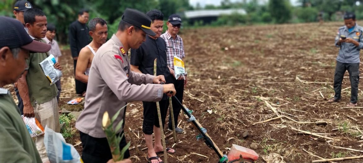 Polsek Rumpin Bersama Warga Mekarsari Tanam Jagung Hibrida Dukung Ketahanan Pangan Nasional   