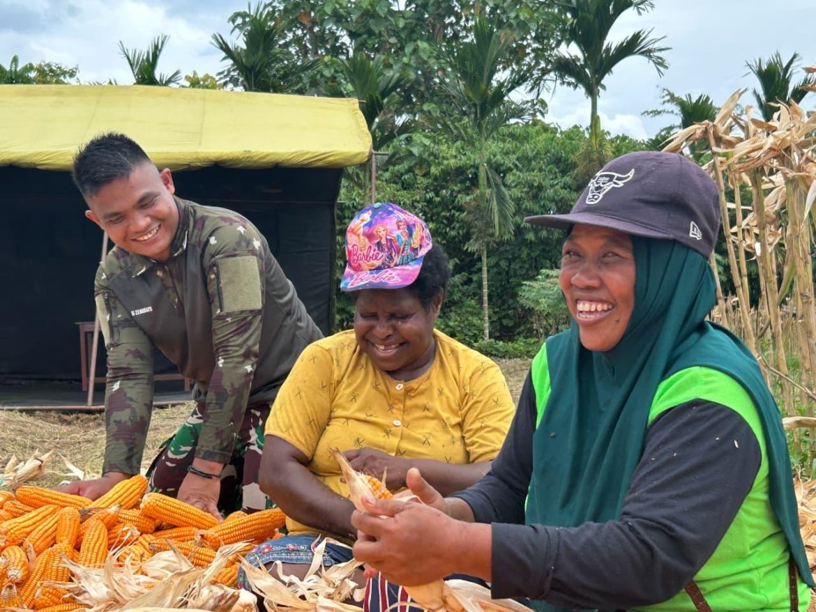 Satgas Yonif 131/Brajasakti dan Warga Wonorejo Panen Jagung Wujudkan Ketahanan Pangan di Perbatasan   
