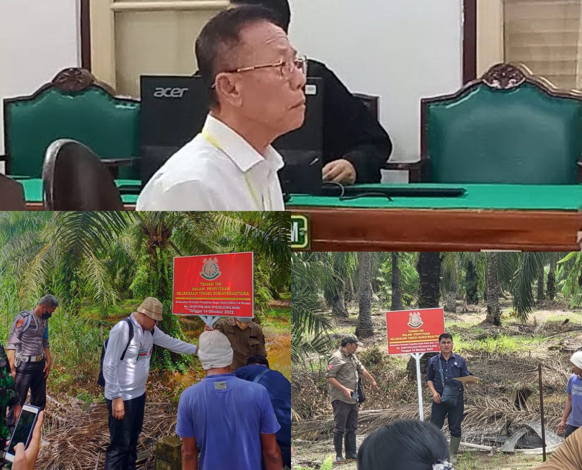 Vonis 10 Tahun dan UP 797 M, Akuang Tak Ditahan Hakim, Koperasi STM Diduga Masih Panen Sawit di Hutan Negara, Kastel Langkat : Dititip ke BKSDA   