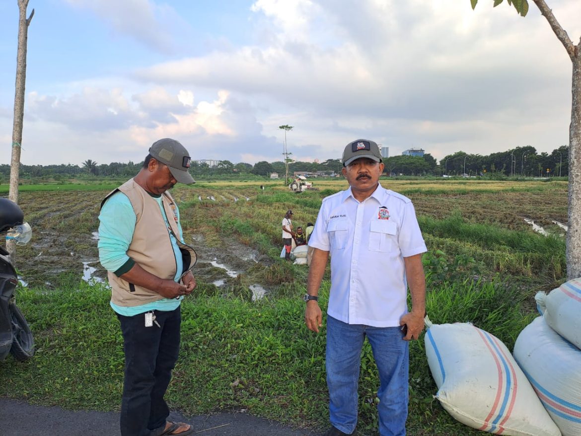 Tani Merdeka Indonesia Deli Serdang Ubah Lahan Kosong Jadi Lumbung Pangan Produktif   
