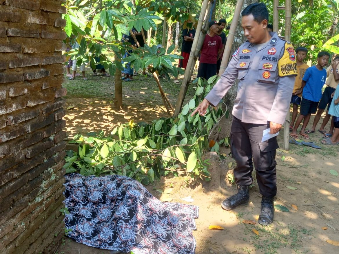 Warga Desa Menjangan Ditemukan Meninggal di Belakang Rumah, Diduga Jatuh Saat Petik Nangka