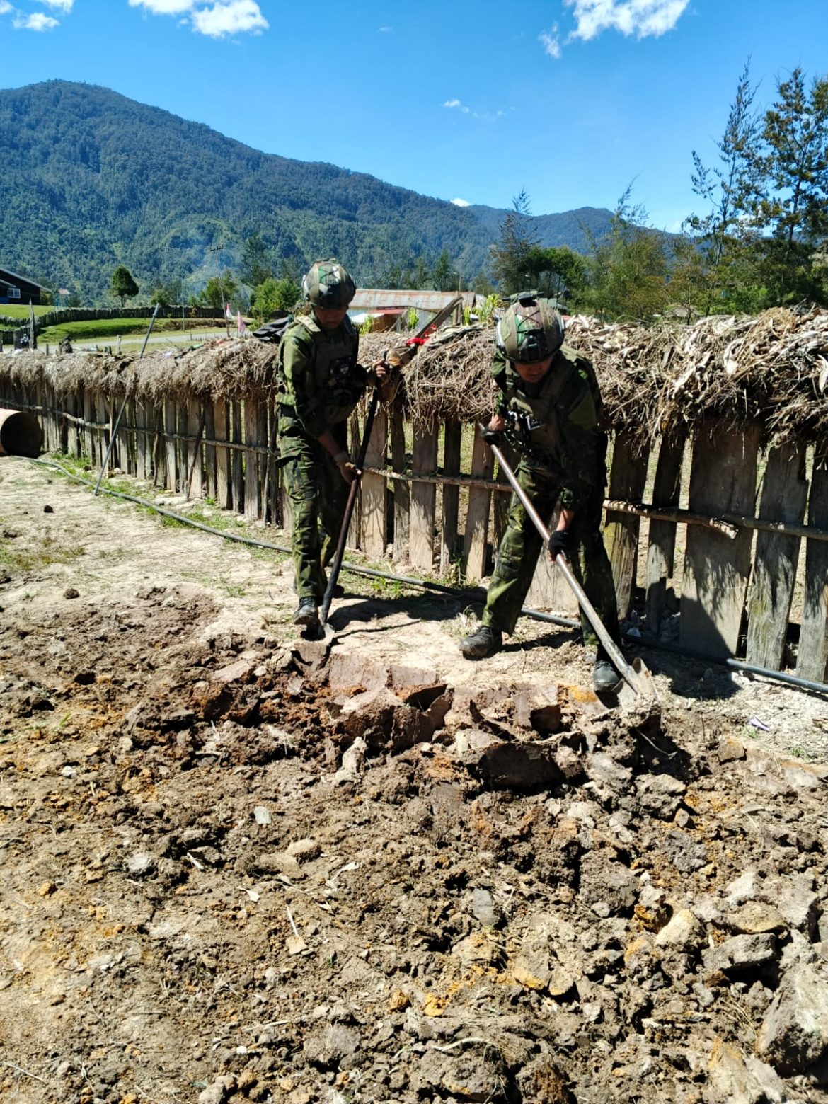 Satgas Yonif 700/WYC Pos Gome Bangun Ketahanan Pangan Bersama Warga Yenggernok   