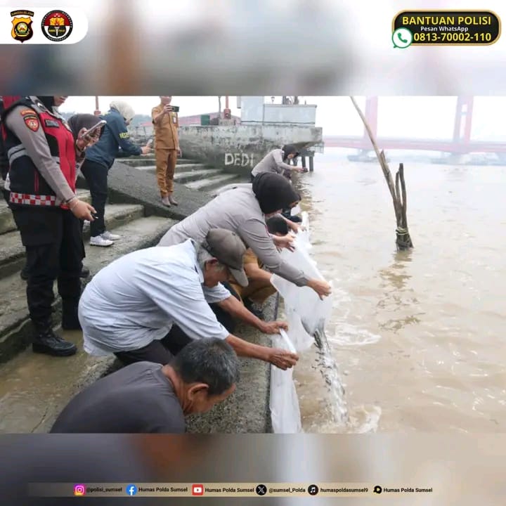 Hut Polwan ke,77 Polwan tebar Ribuan bibit Ikan disungai Musi