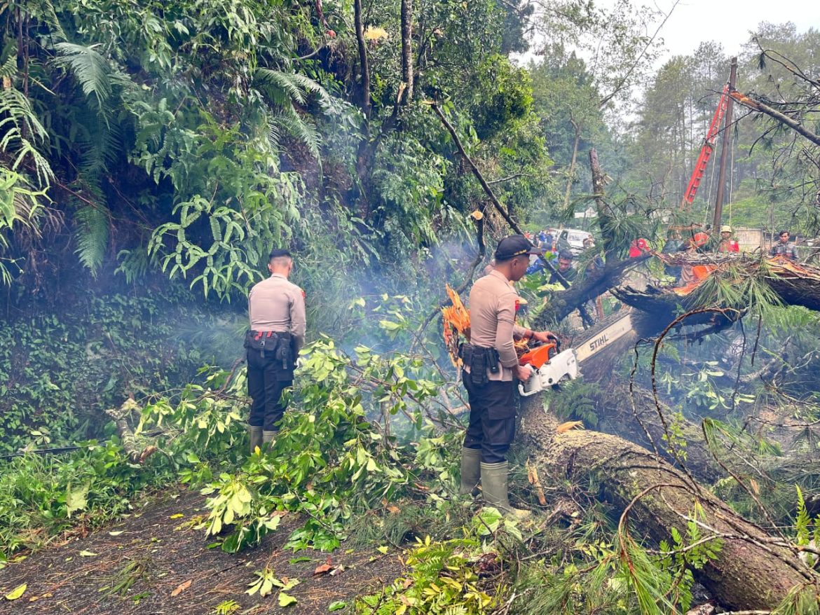 Akses Jalan Terhalang Pohon Tumbang, Polisi Bergerak Cepat Lakukan Evakuasi